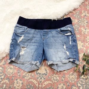 Great Expectations Distressed Denim Shorts